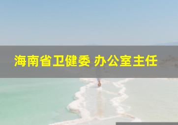 海南省卫健委 办公室主任